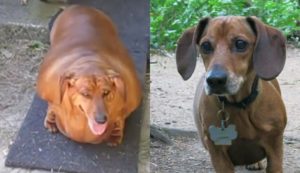 ANTES Y DESPUES