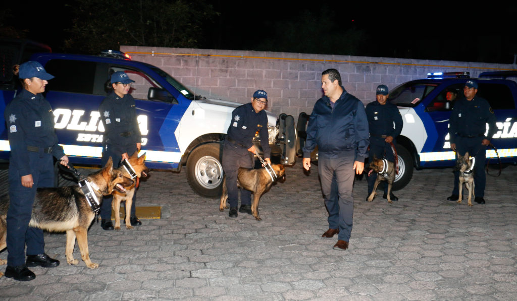 unidad canina