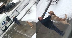 perro