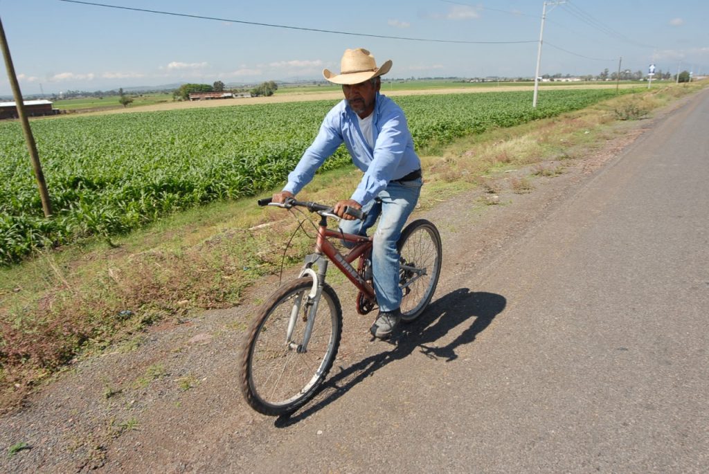 paisano en comunidades (1)