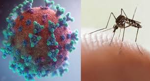 covidengue