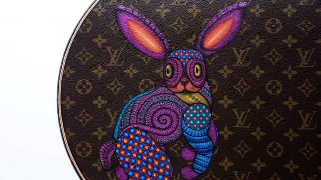 Conejo2-e1581191152268-640x360