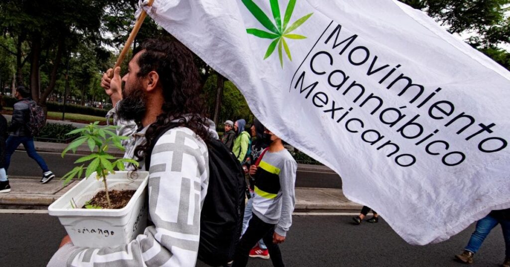 marihuana-mex_0