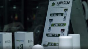 paradise portada 1