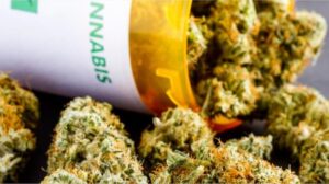 CANNABIS