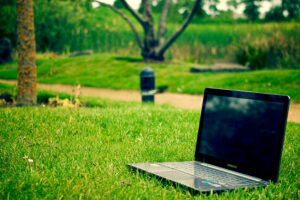 MARKETING VERDE