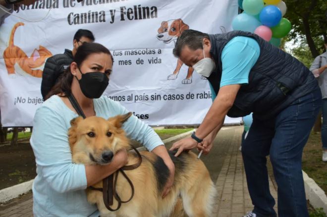RABIA PORTADA