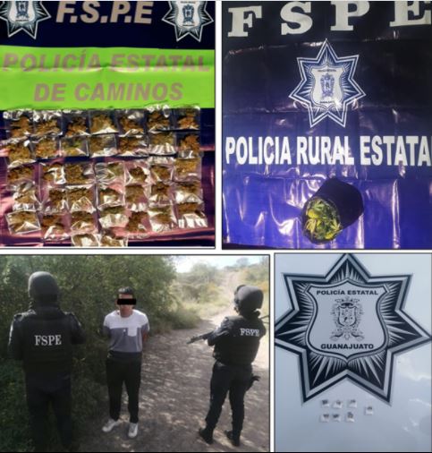 SEGURO 3