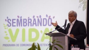 SEMBRANDO 1