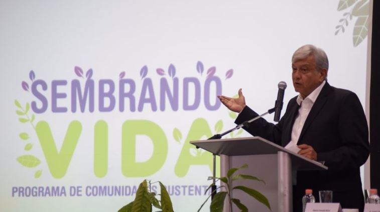 SEMBRANDO 1