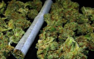 MOTA
