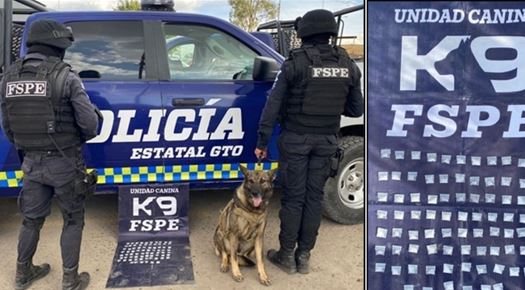 SEGURO