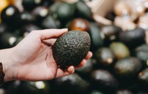 AGUACATE 3