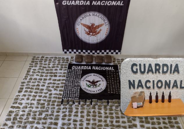 GUANAJUATO SEGURO