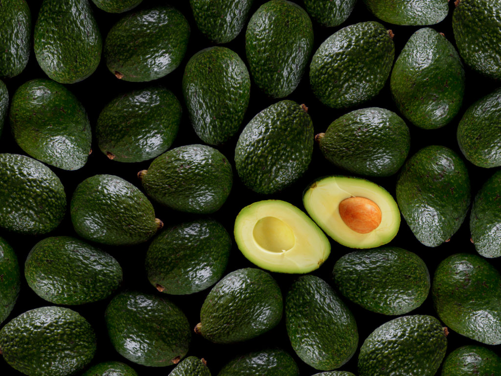 AGUACATE 4