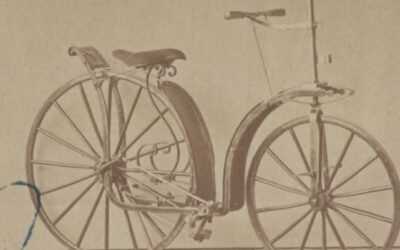 BICI-11