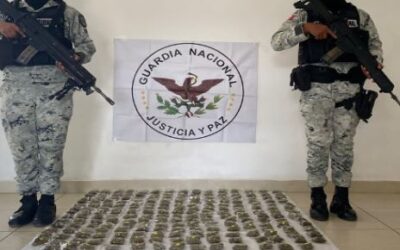 GUANAJUATO SEGURO 1