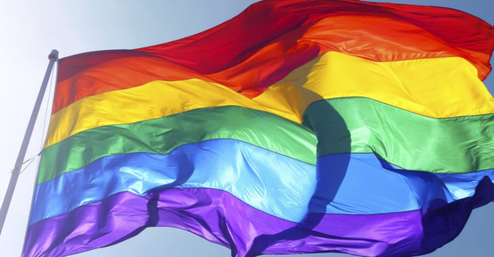 PRIDE 1