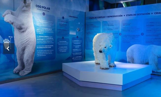 ACUARIO1