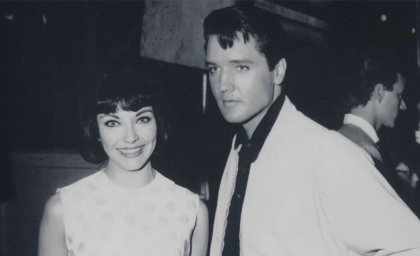 ELVIS