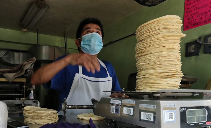 TORTILLA 3
