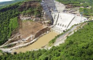 ZAPOTILLO 1