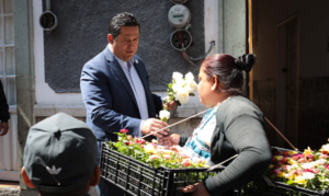 FLORES 5