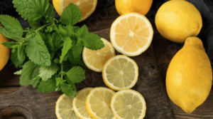 LIMÓN 1