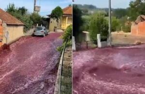 Vino