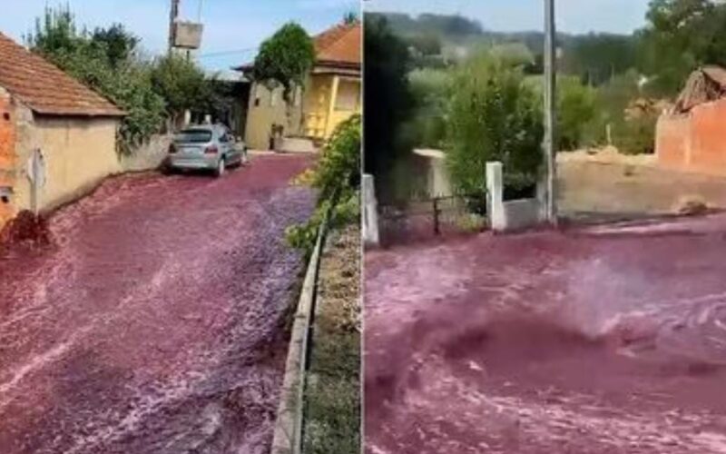 Vino