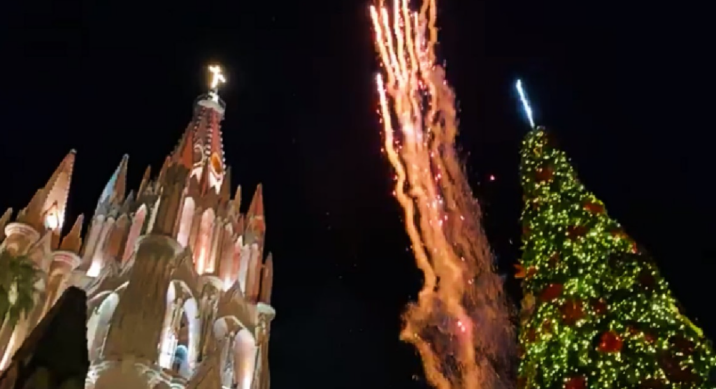ÁRBOL1