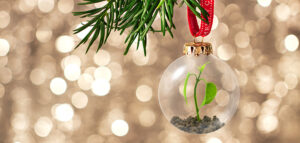 blog_navidad
