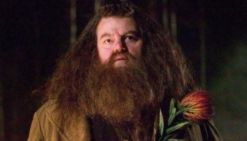 HARRY