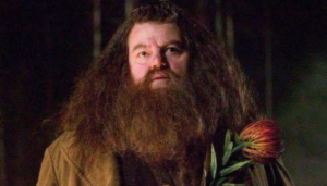 HARRY