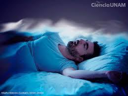 WhatsApp Image 2025-06-01 at 7.16.45 PM (12)