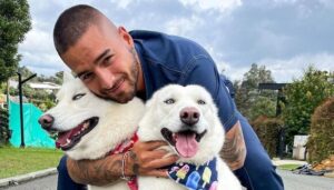 perros maluma