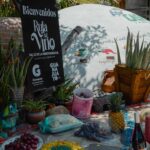 Vendimias Guanajuato 2026: Calendario, sedes y rutas de viaje