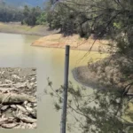 Mueren dos mil peces por fuga en la presa La Soledad