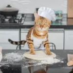 ¿Por qué los gatos amasan con sus patas?