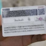 El curioso origen de las fotografías de identificación