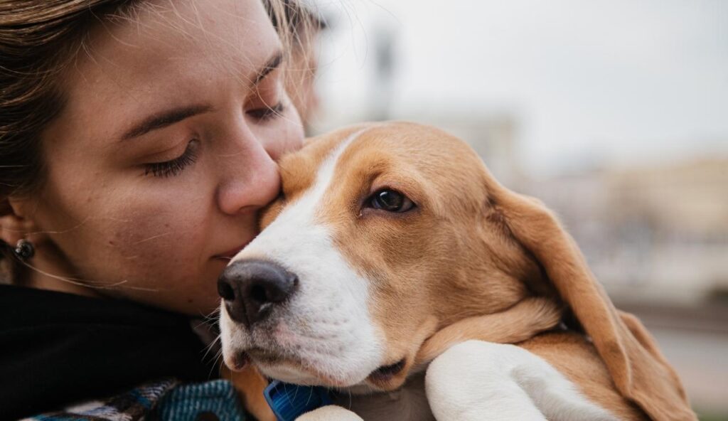 Perro humano