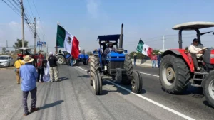 photo-5686134214683724547-y-i98l9CS1Z
