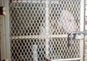 photo_2019-06-11_23-23-11