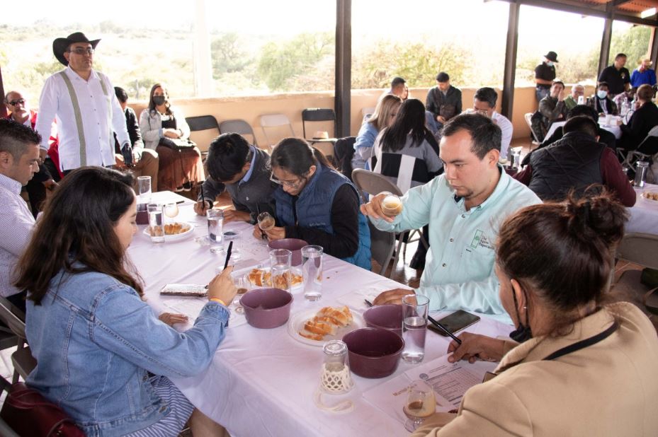 POZOS 2