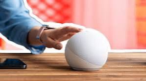 WhatsApp Image 2024-08-13 at 5.31.31 PM