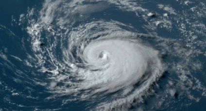 WhatsApp Image 2024-08-14 at 10.41.18 AM