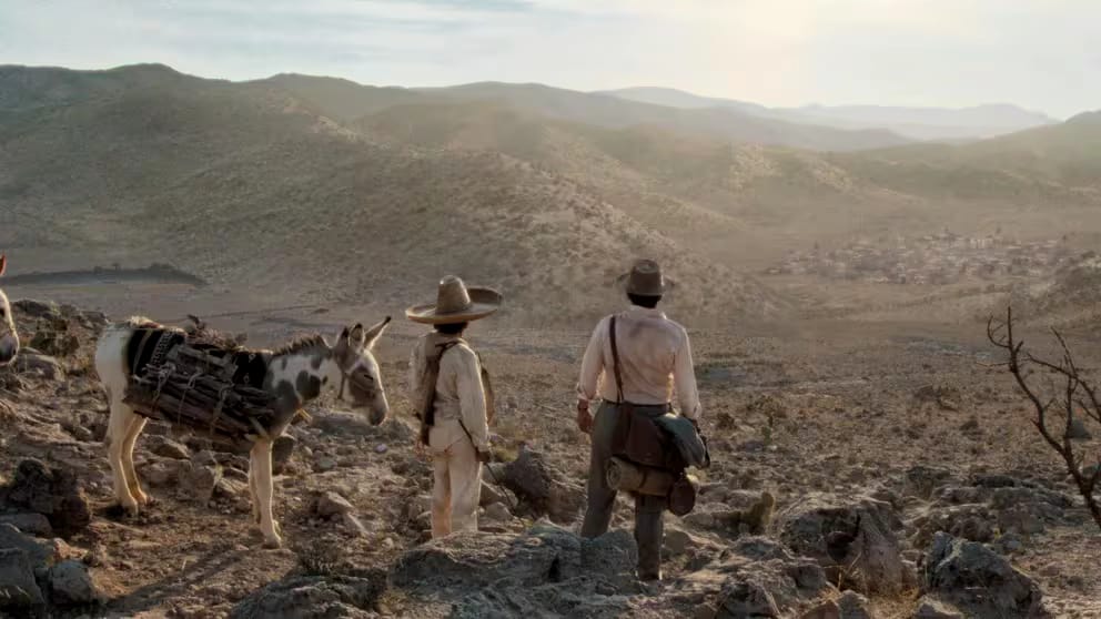 WhatsApp Image 2024-08-16 at 11.45.41 AM