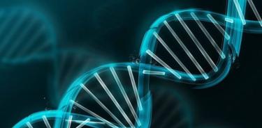 WhatsApp Image 2024-08-25 at 5.17.19 PM