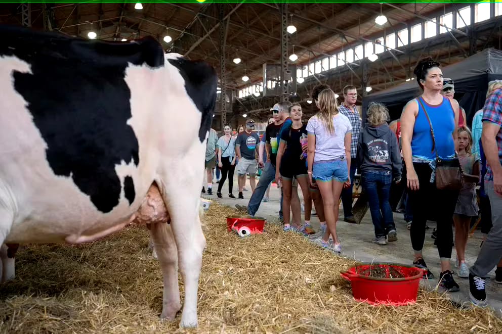 WhatsApp Image 2024-09-01 at 10.15.14 AM