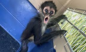 WhatsApp Image 2024-09-07 at 7.55.34 AM